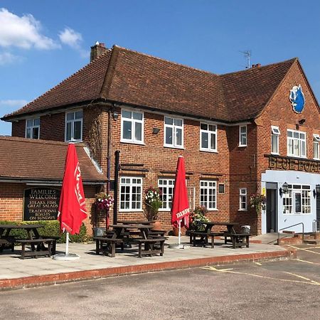 Blue Boar Inn Norwich Exterior photo